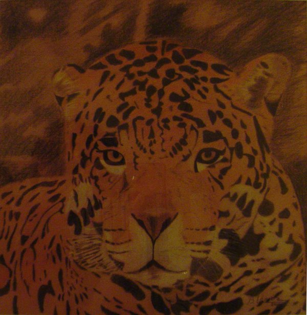 Grafito, sanguina y blanco sobre papel color &raquo; 40 x 40 cm