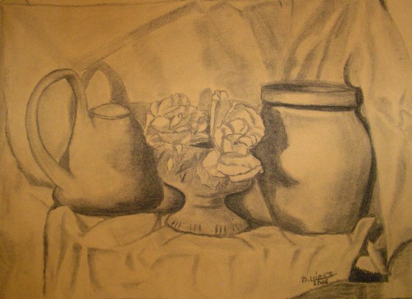 Carbonilla sobre papel misionero &raquo; 35 x 50 cm