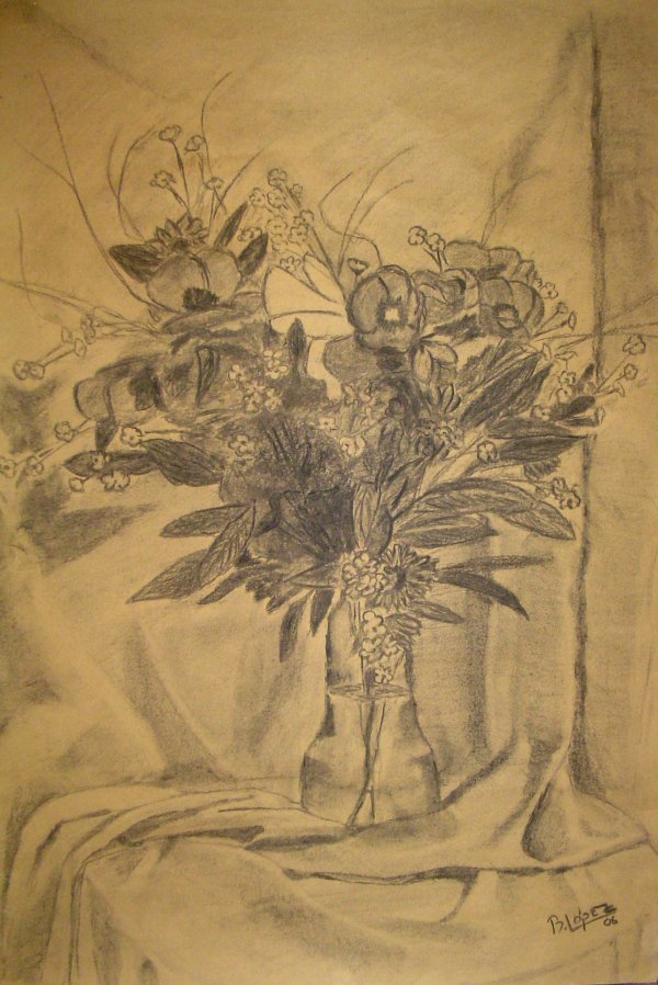 Carbonilla sobre papel misionero &raquo; 55 x 40 cm