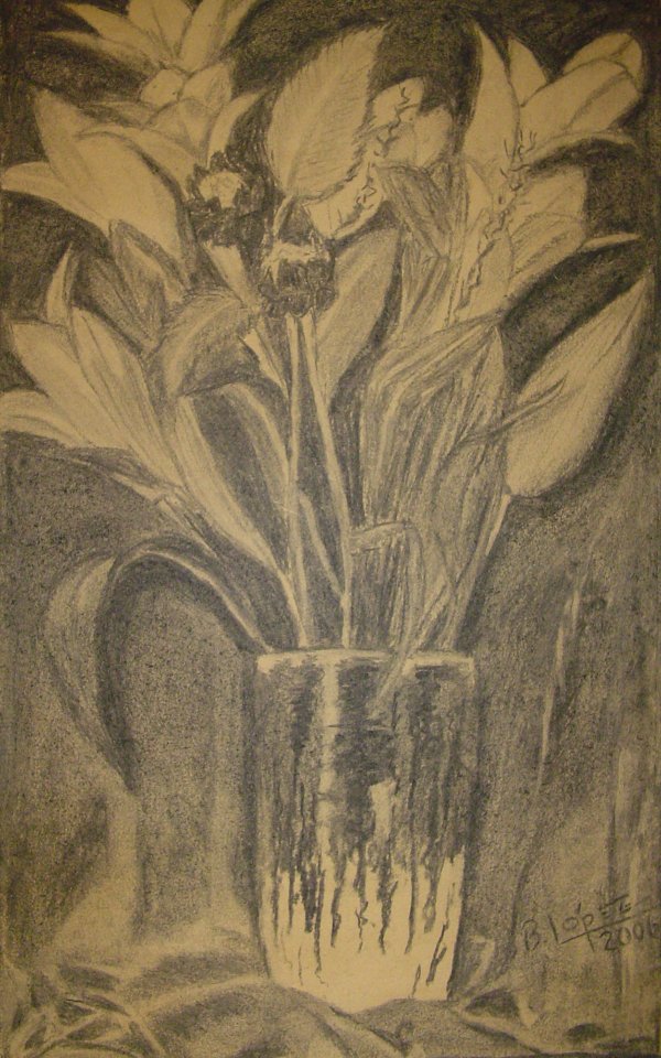 Carbonilla sobre papel misionero &raquo; 35 x 20 cm