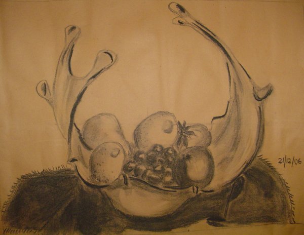 Carbonilla sobre papel misionero &raquo; 35 x 45 cm
