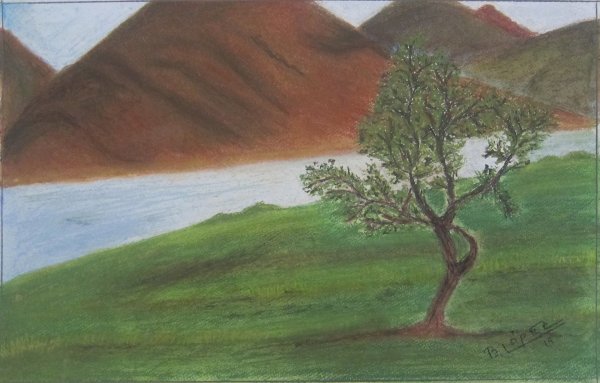 Lápiz tiza sobre papel &raquo; 25 x 40 cm