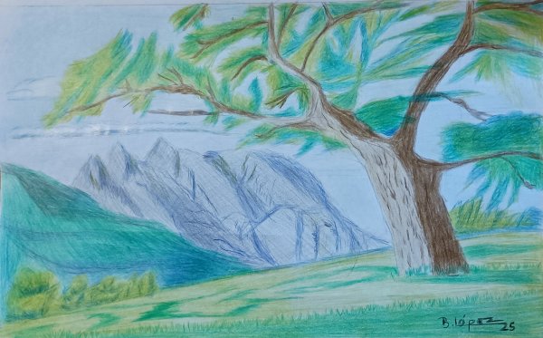 Lápiz polychromos sobre papel &raquo; 28 x 44 cm